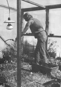 A Home-Based Organic Nursery Image